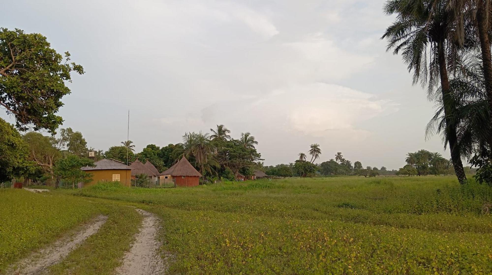 Campement Graine De Paradis Kachiouane 外观 照片